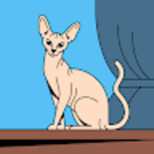 Meet your Posher, Ava